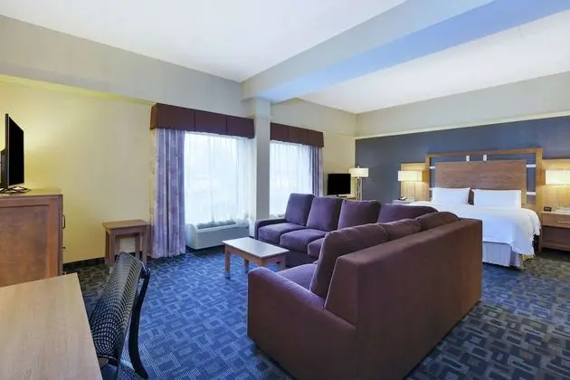 Süit, 1 En Büyük (King) Boy Yatak ve Çekyat, Sigara İçilmez (Hospitality)