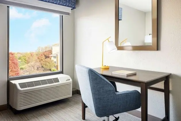One King bed with Sofabed and Wetbar