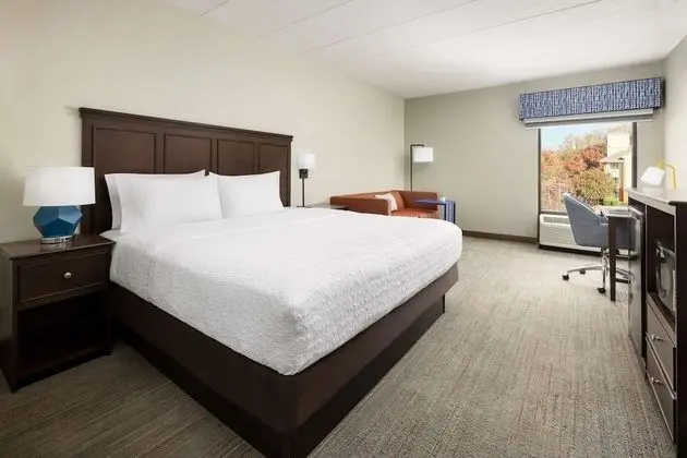 One King bed with Sofabed and Wetbar