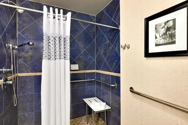 Oda, 1 En Büyük (King) Boy Yatak, Engellilere Uygun, Sigara İçilmez