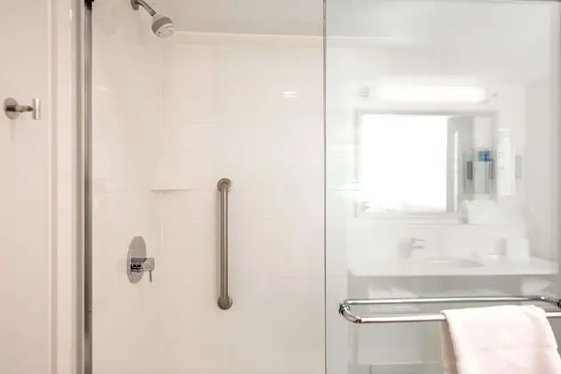 Süit, 1 En Büyük (King) Boy Yatak, Buzdolabı ve Mikrodalga, Göl Manzaralı