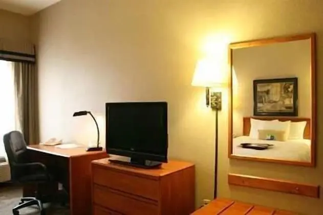 King Room, 1 En Büyük (King) Boy Yatak, Sigara İçilmez
