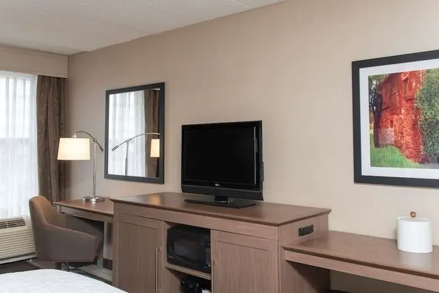 King Room, 1 En Büyük (King) Boy Yatak, Sigara İçilmez