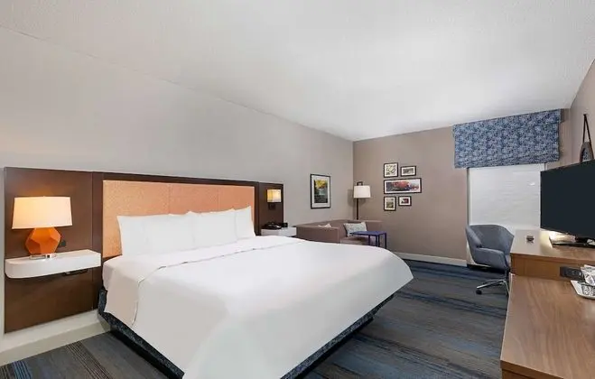 Oda, 1 En Büyük (King) Boy Yatak, Sigara İçilmez