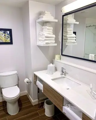 Oda, 1 En Büyük (King) Boy Yatak, Engellilere Uygun (Mob/Hearing, Roll-In Shower)
