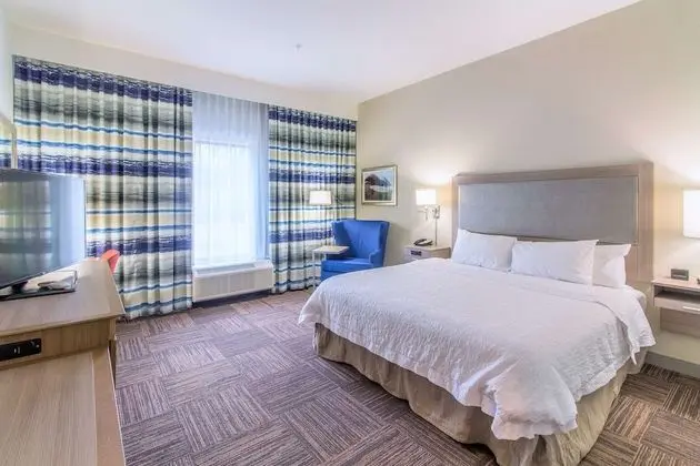 Oda, 1 En Büyük (King) Boy Yatak, Engellilere Uygun (mob/hearing acc w/ roll-in shower)