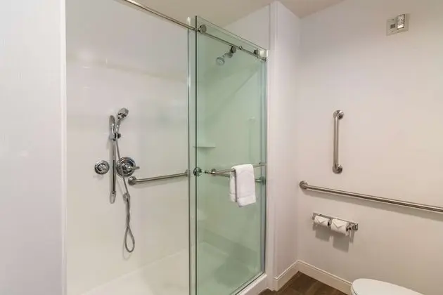Oda, 1 En Büyük (King) Boy Yatak, Engellilere Uygun (Shower)