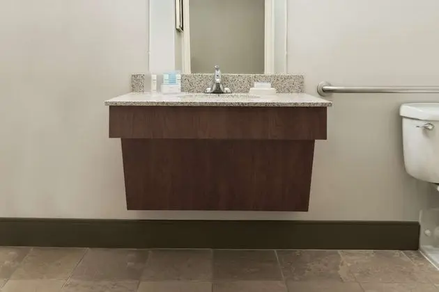 Oda, 1 En Büyük (King) Boy Yatak, Engellilere Uygun, Sigara İçilmez (Roll-in Shower)