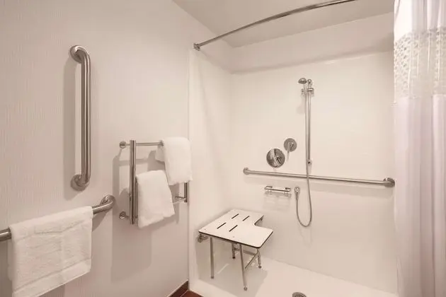 Oda, Engellilere Uygun, Sigara İçilmez (Roll-in Shower)
