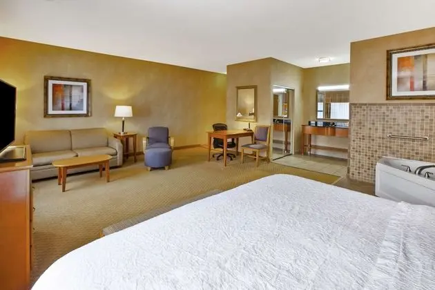1 King Bed Studio Suite w/Whirlpool Non-Smoking