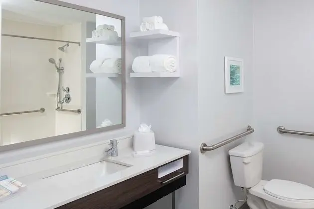 Oda, 1 En Büyük (King) Boy Yatak, Engellilere Uygun, Balkon (Roll-In Shower)