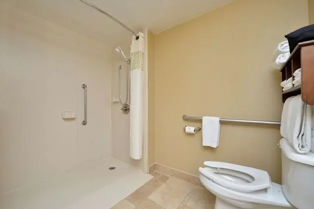 Oda, 1 En Büyük (King) Boy Yatak, Engellilere Uygun (Roll-In Shower)