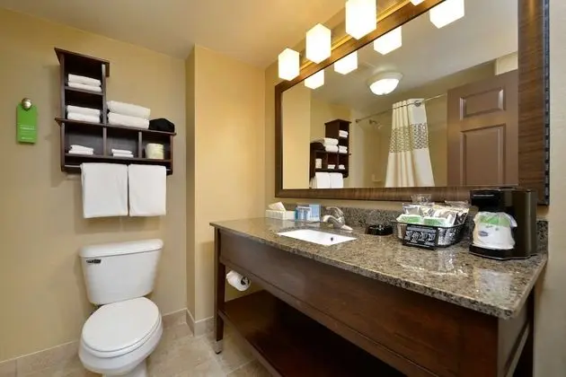 Süit, 1 En Büyük (King) Boy Yatak, Engellilere Uygun (Hearing)