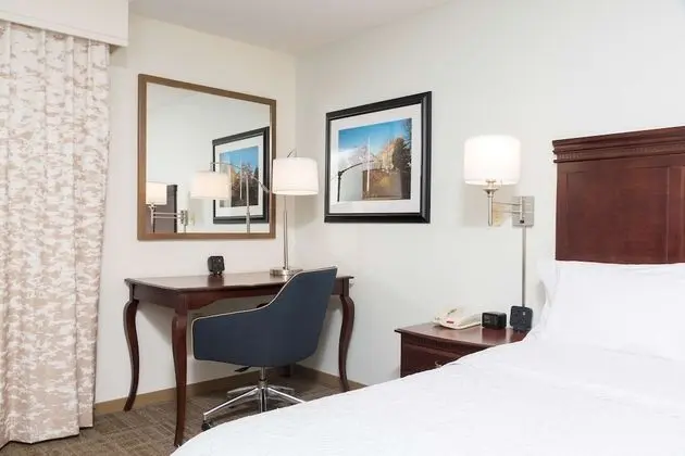 Room, 1 Queen, Accessible, Shower
