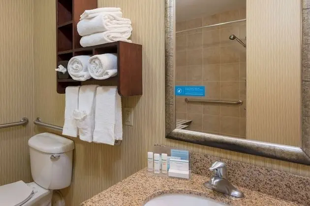 Room, 1 Queen, Accessible, Shower