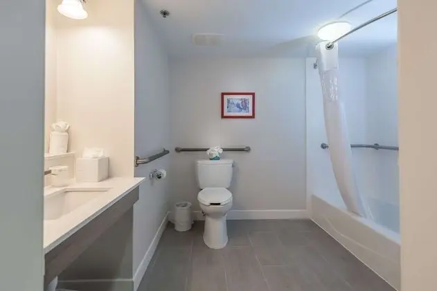 Oda, 1 Büyük (Queen) Boy Yatak, Sigara İçilmez (Mobility Hearing Accessible w/ Tub)