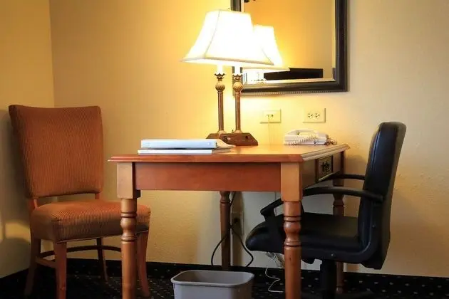 Deluxe Oda, 1 En Büyük (King) Boy Yatak