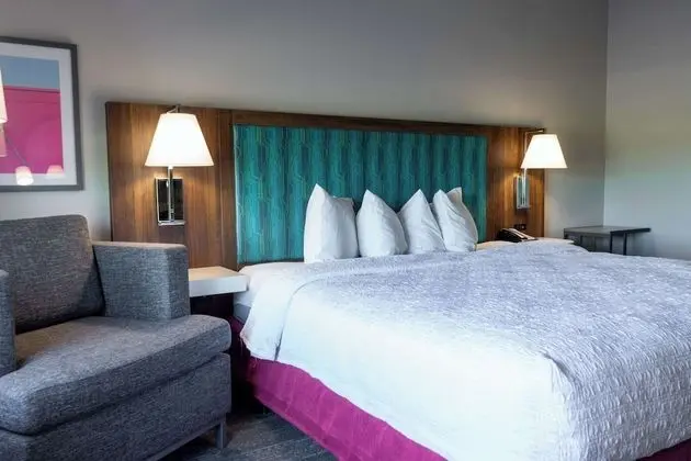 Oda, 1 En Büyük (King) Boy Yatak, Sigara İçilmez, Buzdolabı ve Mikrodalga