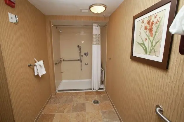 Stüdyo, 1 En Büyük (King) Boy Yatak, Engellilere Uygun, Sigara İçilmez (Roll-In Shower)