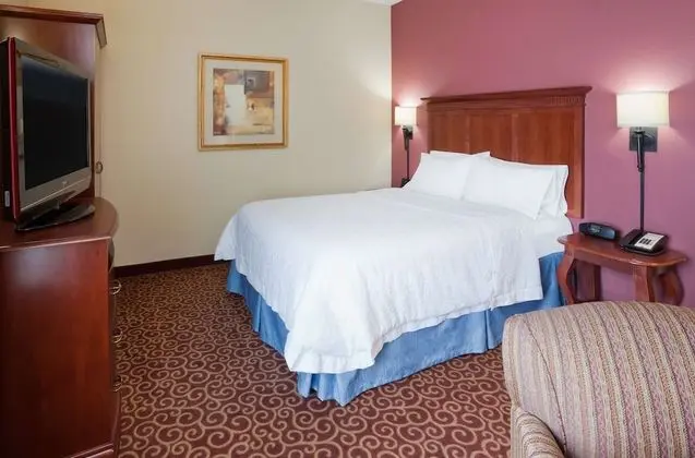 Bir Queen-Size Yataklı Oda (Sigara İçilmez)