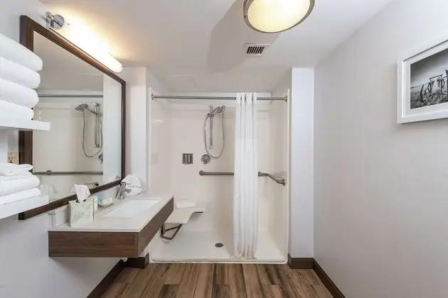 Oda, 2 Çift Kişilik Yatak, Engellilere Uygun (Roll-In Shower)