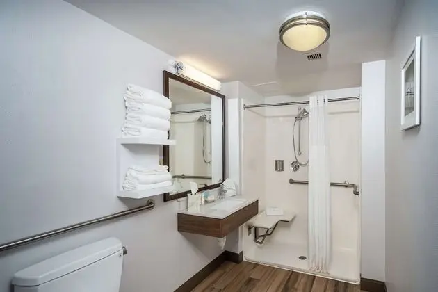 Oda, 2 Çift Kişilik Yatak, Engellilere Uygun (Roll-In Shower)
