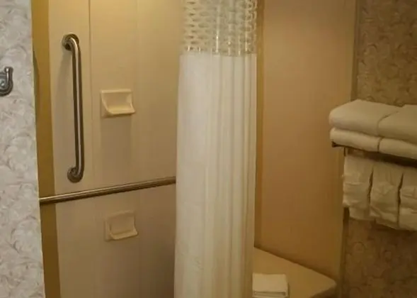 Oda, 1 En Büyük (King) Boy Yatak, Engellilere Uygun (Roll In Shower)