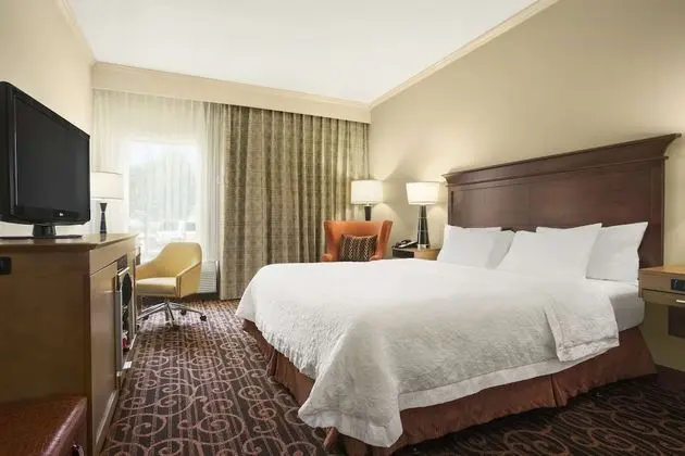 Oda, 1 En Büyük (King) Boy Yatak, Engellilere Uygun, Sigara İçilmez