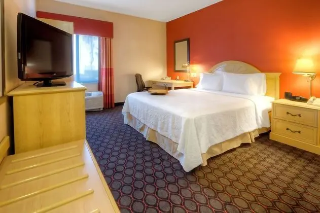 Oda, 1 En Büyük (King) Boy Yatak, Engellilere Uygun