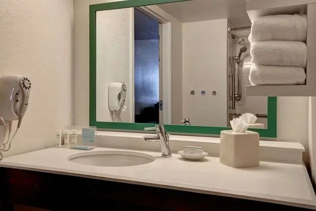 Süit, 1 En Büyük (King) Boy Yatak, Engellilere Uygun, Buzdolabı ve Mikrodalga (Bathtub)