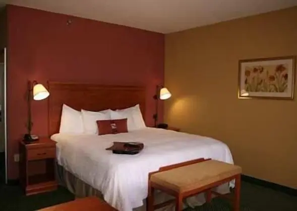 Bir King-Size Yataklı Oda (Sigara İçilmez)