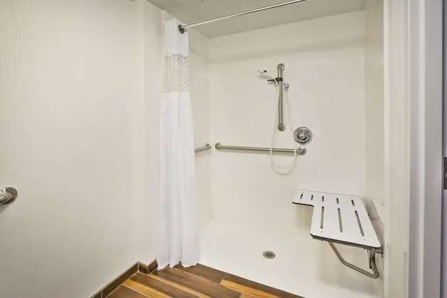 Oda, Engellilere Uygun, Sigara İçilmez (Roll-in Shower)
