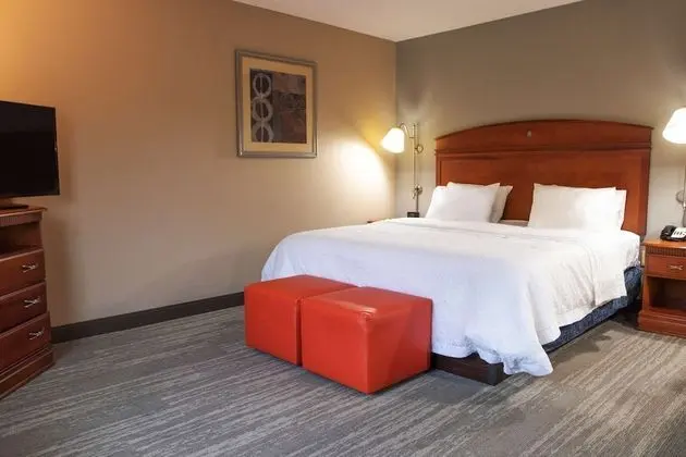 Oda, 1 En Büyük (King) Boy Yatak, Engellilere Uygun, Sigara İçilmez