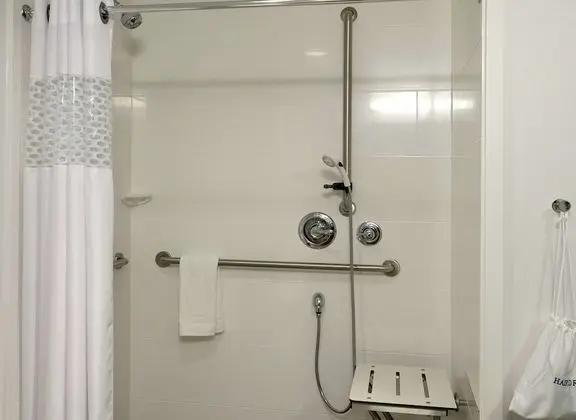Stüdyo, 1 En Büyük (King) Boy Yatak, Engellilere Uygun (Roll In Shower)