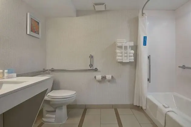 Süit, 1 En Büyük (King) Boy Yatak, Engellilere Uygun, Sigara İçilmez