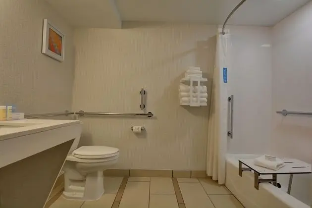 Süit, 1 En Büyük (King) Boy Yatak, Engellilere Uygun, Sigara İçilmez