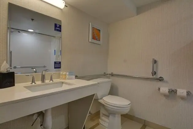 Süit, 1 En Büyük (King) Boy Yatak, Engellilere Uygun, Sigara İçilmez