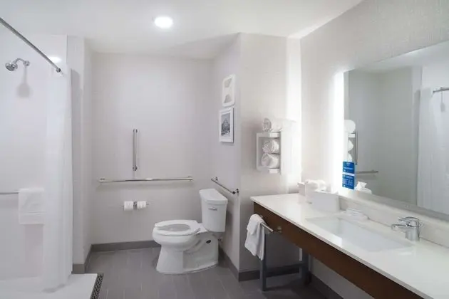 Oda, 1 En Büyük (King) Boy Yatak, Engellilere Uygun (Mobility & Hearing, Roll-in Shower)