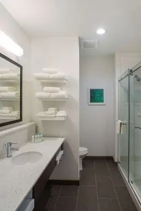 Oda, 1 En Büyük (King) Boy Yatak, Engellilere Uygun, Sigara İçilmez (Roll In Shower)