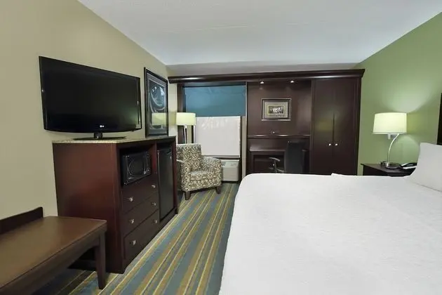 Oda, 1 En Büyük (King) Boy Yatak, Engellilere Uygun, Sigara İçilmez