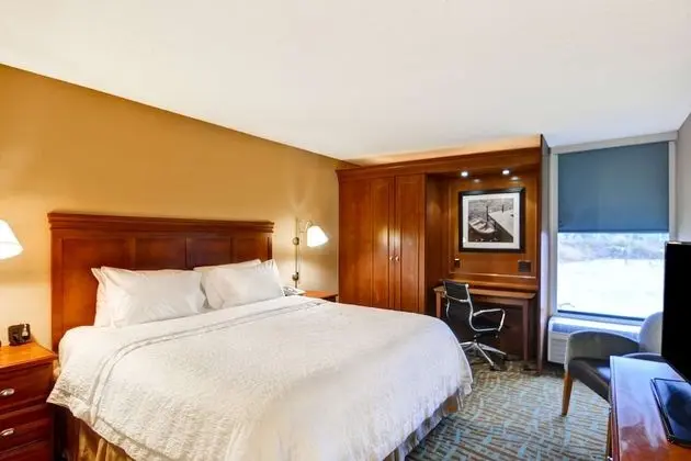 King Suite, 1 Yatak Odası, Sigara İçilmez