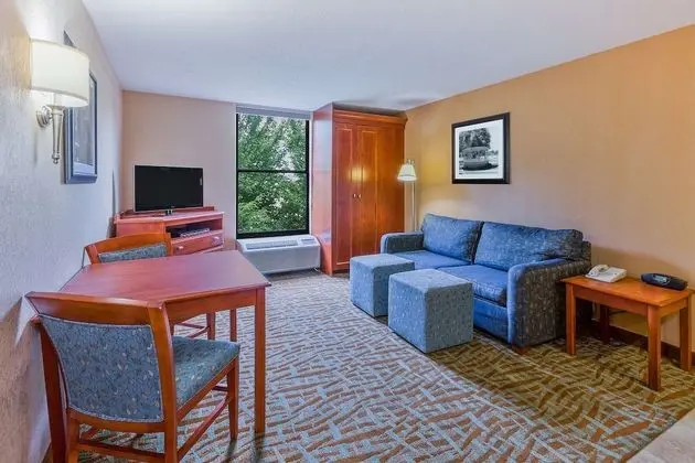 King Suite, 1 Yatak Odası, Sigara İçilmez