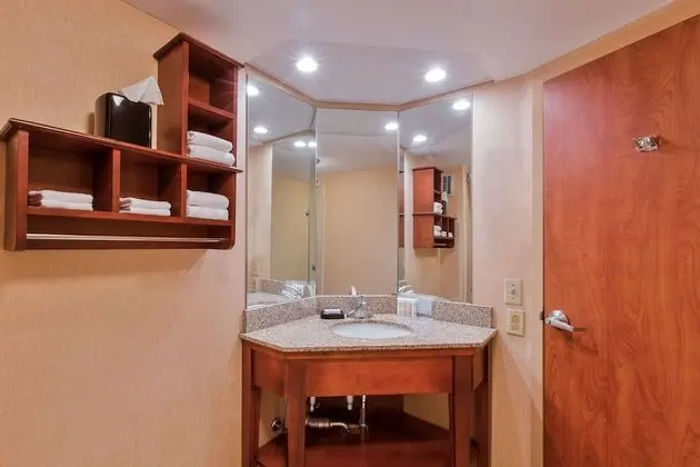 King Suite, 1 Yatak Odası, Sigara İçilmez