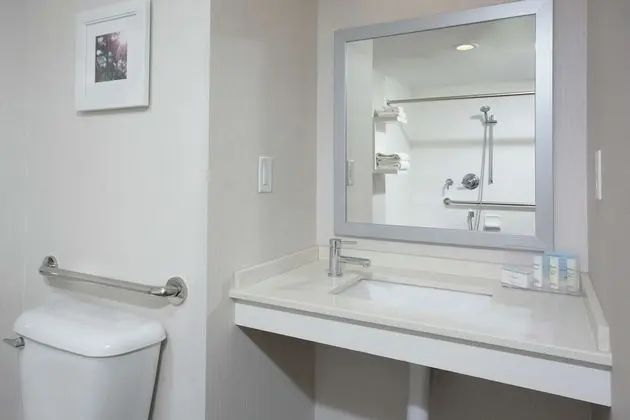Oda, 1 En Büyük (King) Boy Yatak, Engellilere Uygun, Buzdolabı ve Mikrodalga (Bathtub)