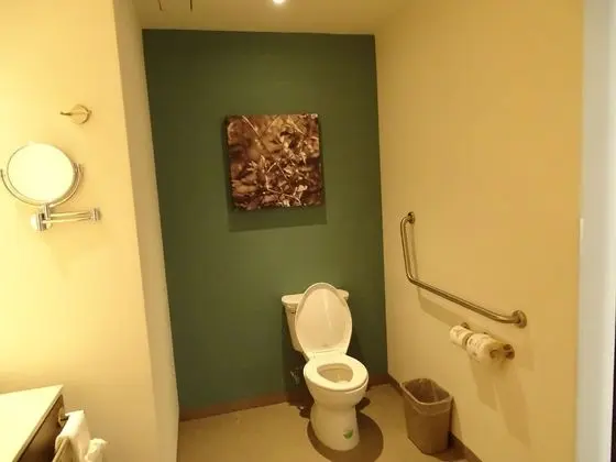Oda, 1 En Büyük (King) Boy Yatak, Engellilere Uygun, Sigara İçilmez (Roll-in Shower)