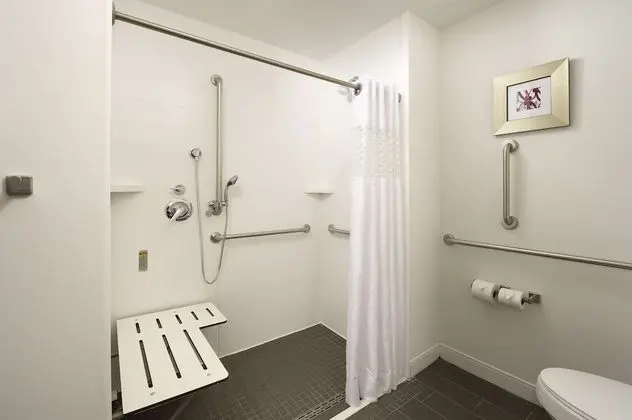Oda, 1 En Büyük (King) Boy Yatak, Engellilere Uygun, Sigara İçilmez (Roll-in Shower)