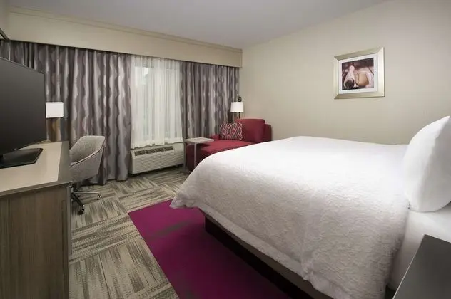 Oda, 1 En Büyük (King) Boy Yatak, Sigara İçilmez, Buzdolabı ve Mikrodalga