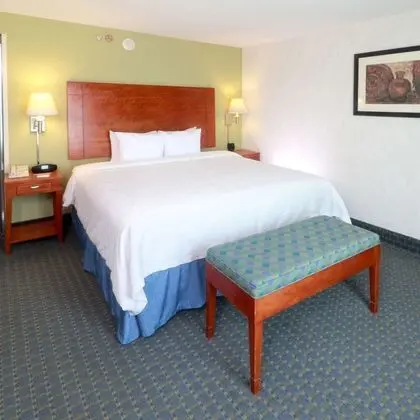 Oda, 1 En Büyük (King) Boy Yatak