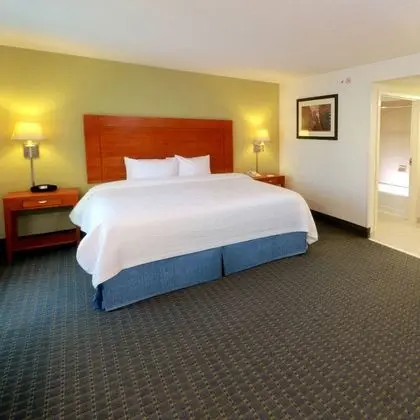 Stüdyo Süit, 1 En Büyük (King) Boy Yatak