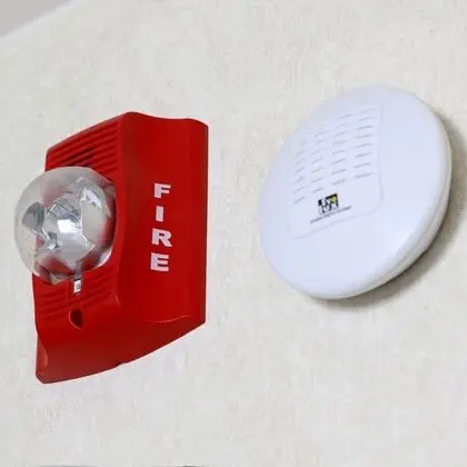 Stüdyo Süit, 1 En Büyük (King) Boy Yatak